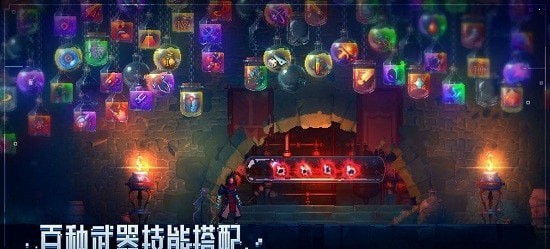 重生细胞国际服