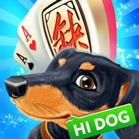 哈狗三缺一义乌版2022