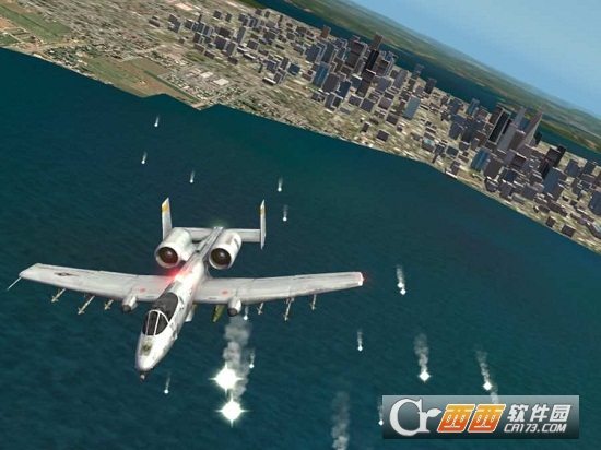 专业模拟飞行X-Plane 10 Flight Simulator