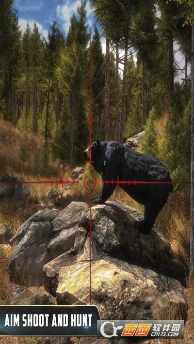 Animal Hunter : Jungle Sniper Shooting(动物猎人丛林狙击手)