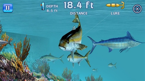 垂钓之王汉化版