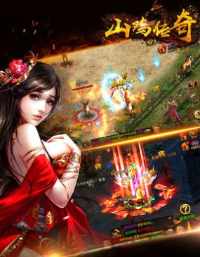 山鸡传奇变态版