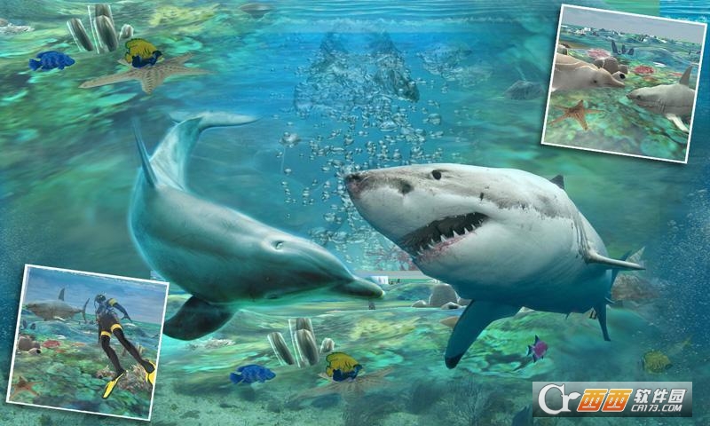 鲨鱼海底捕鱼3D