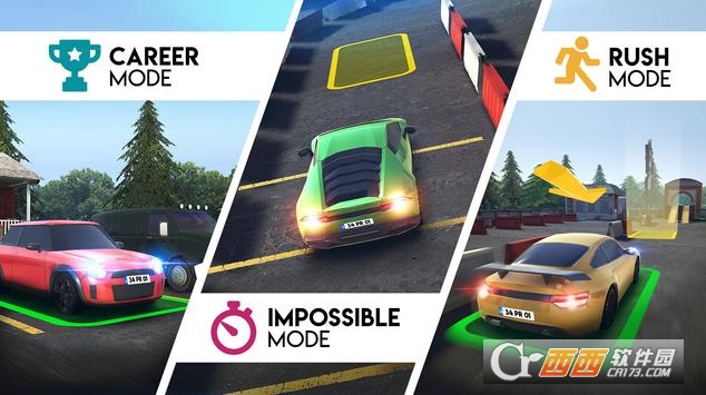 Parking Pro(停车场专家)