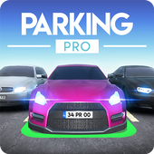 Parking Pro(停车场专家)