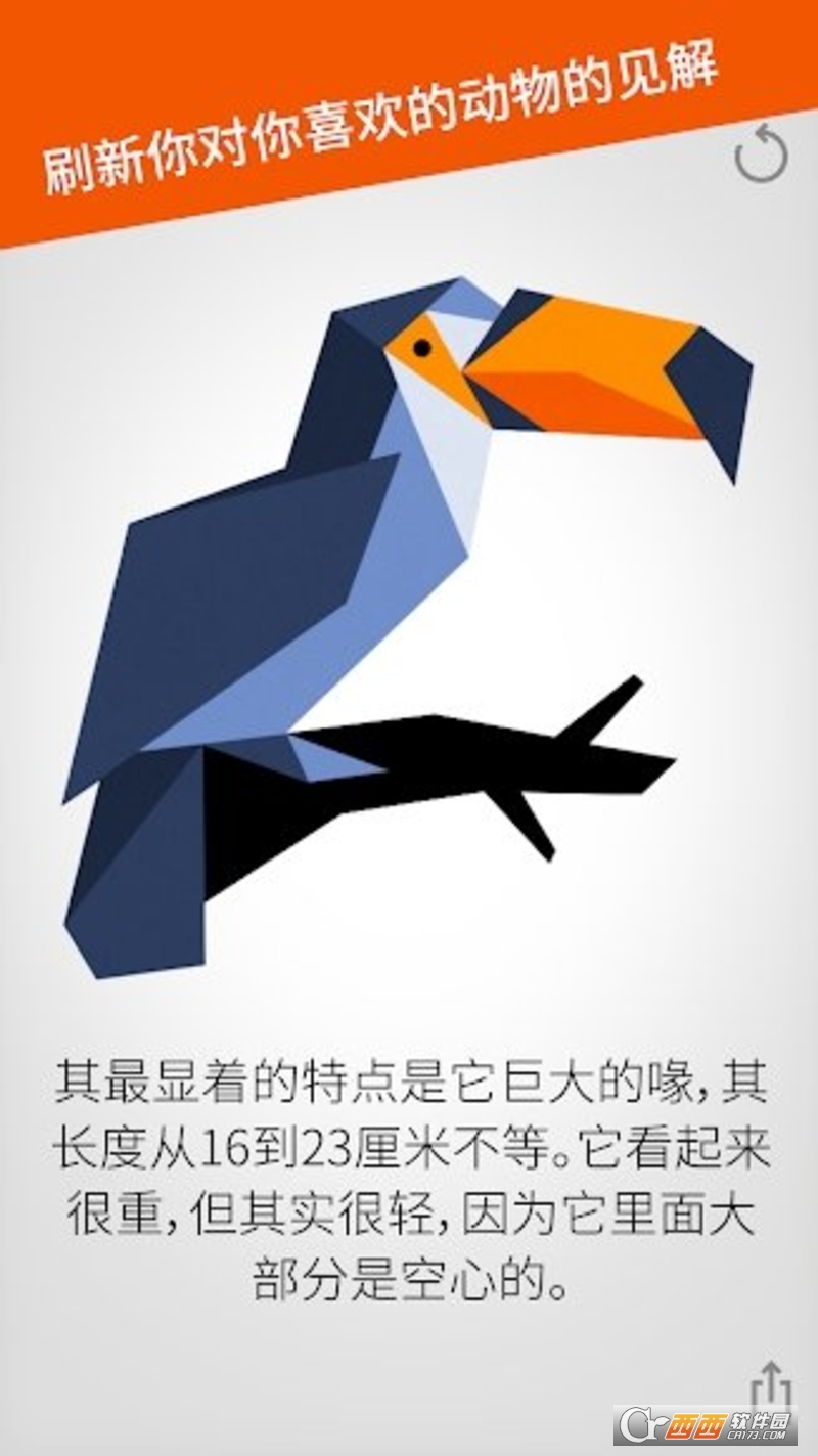 Cardinal Land(七巧板拼图)