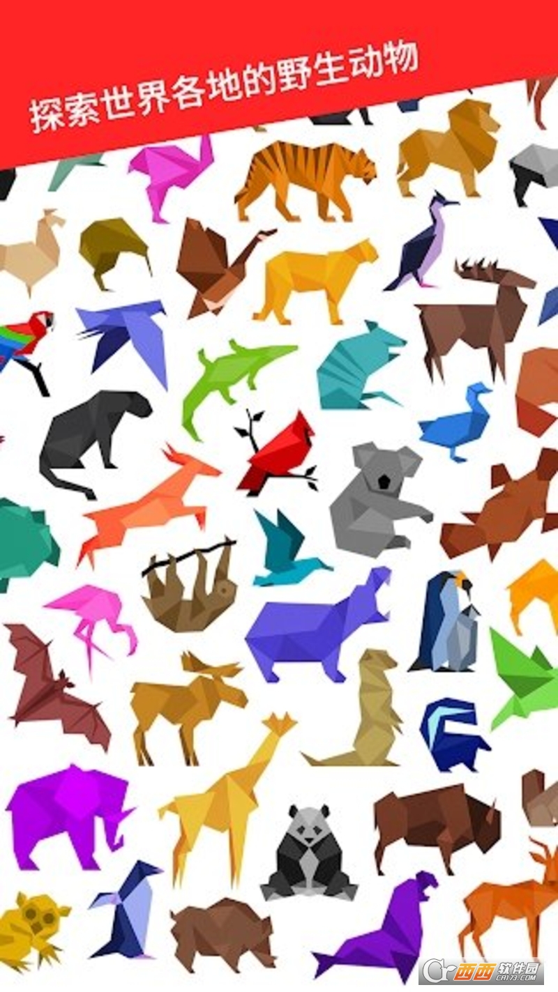 Cardinal Land(七巧板拼图)