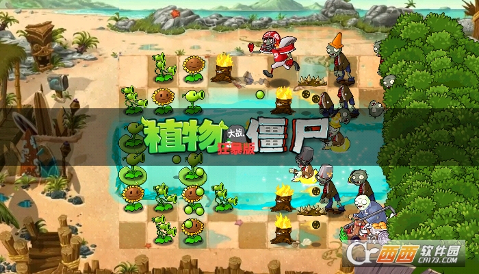 植物大战僵尸狂暴版