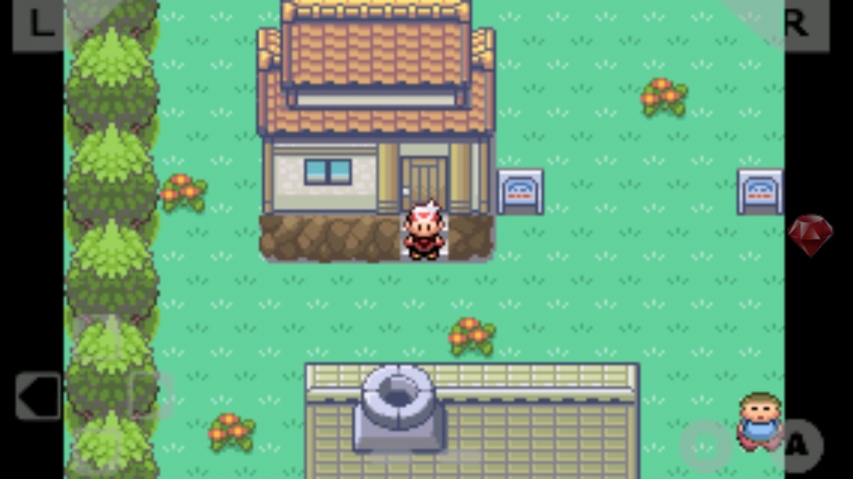 口袋妖怪(正版游戏)