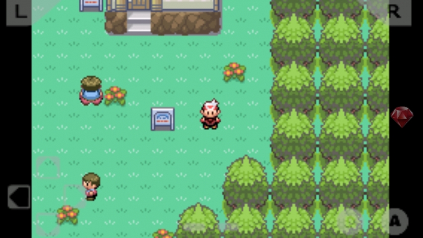 口袋妖怪(正版游戏)