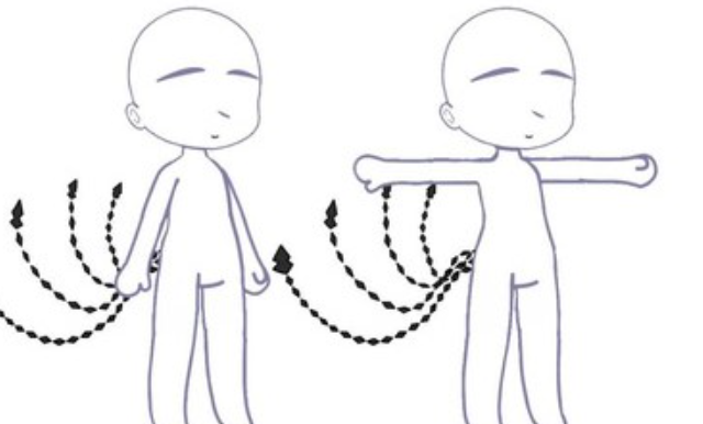 加查薰衣草(正版)