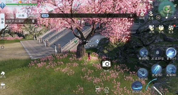 天涯明月刀手游移花拍照点在哪