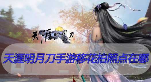 天涯明月刀手游移花拍照点在哪
