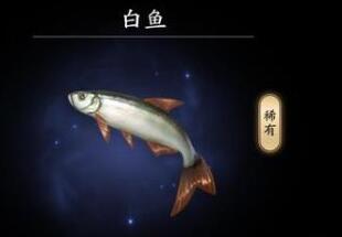 天涯明月刀手游鱼王钓不到怎么办