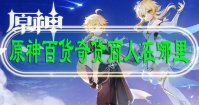 原神百货奇货商人在哪里