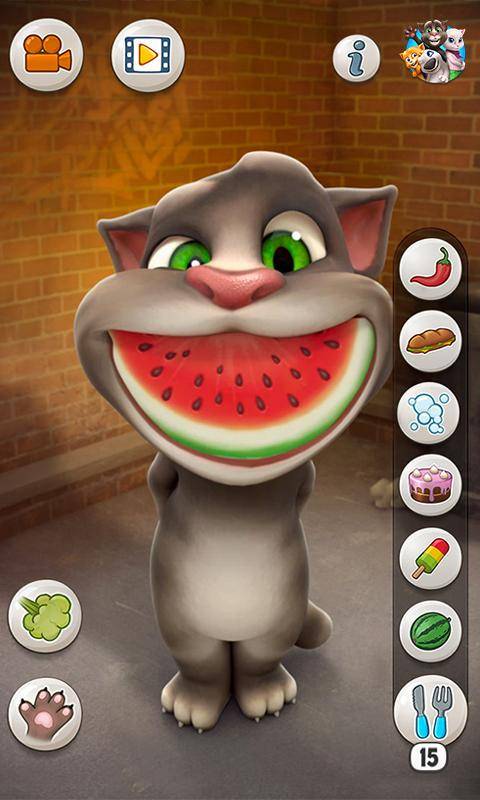 会说话的汤姆猫(Talking Tom Cat)