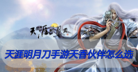 天涯明月刀手游天香伙伴怎么选