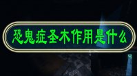 恐鬼症圣木作用是什么