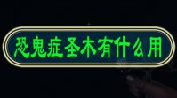 恐鬼症圣木有什么用