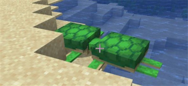 minecraft1.19正式版(我的世界)
