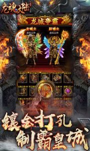 龙魂大陆手游官网版