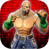 真实街头致命战斗3D(Real Street Deadly Fight 3D)