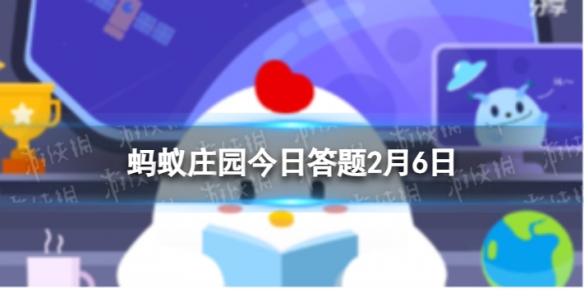 企鹅和蝙蝠哪个属于鸟类