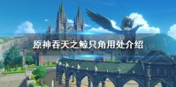 《原神》吞天之鲸只角有什么用 吞天之鲸只角用处介绍