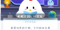 家里饲养的大鹅，它们的祖先是 蚂蚁庄园5月15日每日一题答案