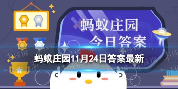 新鲜银杏叶泡水喝降血压 蚂蚁庄园11月24日新鲜银杏叶答案