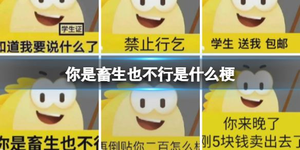 你是畜生也不行是什么梗 你是畜生也不行是什么意思