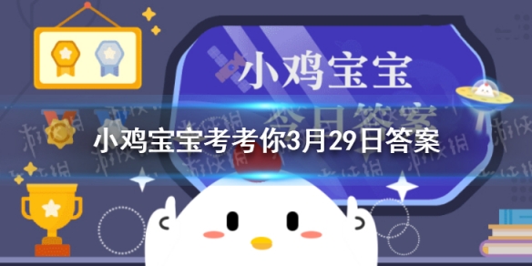 小鸡宝宝考考你词句知否知否应是绿肥红瘦中红瘦本意指哪种花