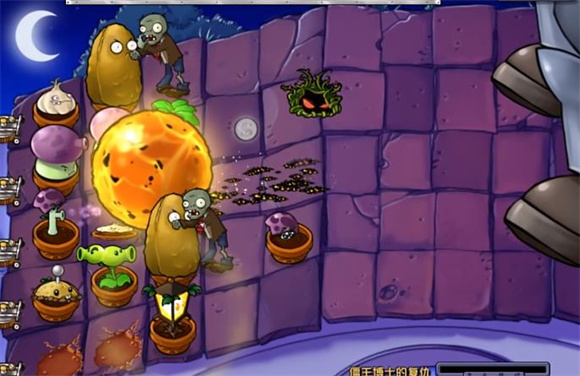 植物大战僵尸(雪地版)