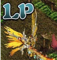 lp仿传奇单机版v3.081完整版