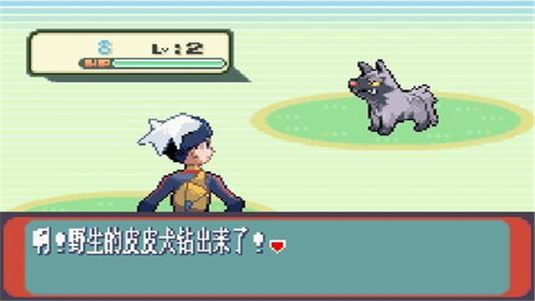 口袋妖怪红宝石386版