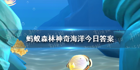 以下哪种海洋动物的血液不是红色的 神奇海洋8月12日答案