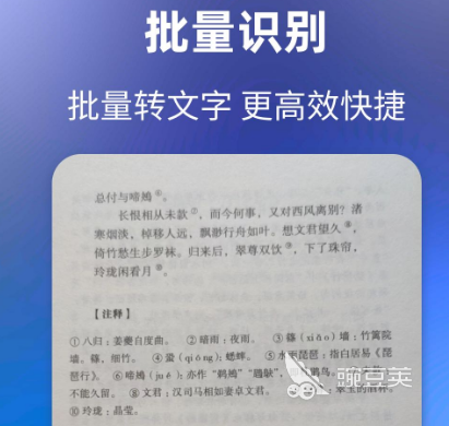 用什么软件可以辨认字体 热门辨认字体的app推荐