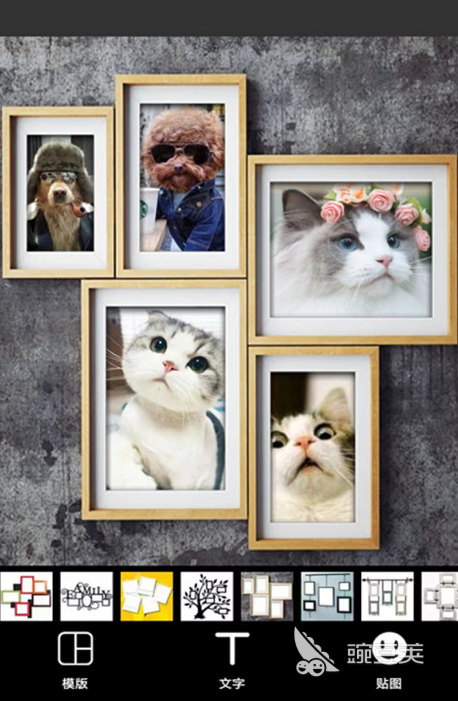 图片合并软件有哪些好用的 可以合成图片的软件排行榜