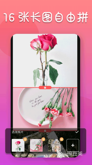 照片修改尺寸的软件免费的有哪些 免费修改照片尺寸的app下载