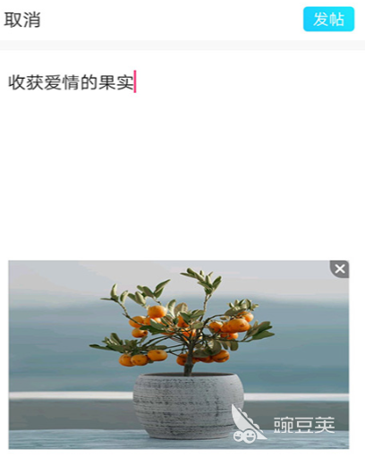 永久免费不收费的社交软件有哪些 免费的社交软件推荐