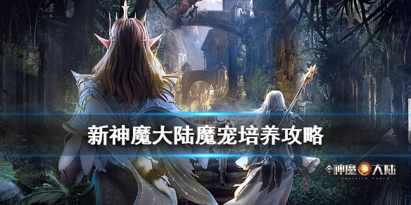 《新神魔大陆》魔宠培养攻略 如何快速提升魔宠战力