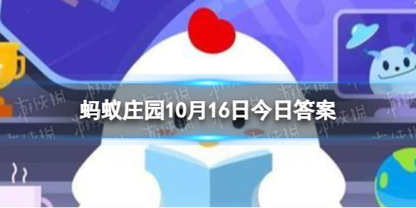 小鸡宝宝考考你为什么家养的仓鼠喜欢玩跑轮