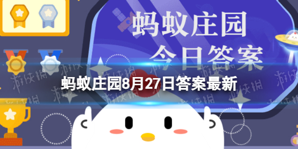 小鸡宝宝考考你桉树叶难嚼，却是哪种动物的美食