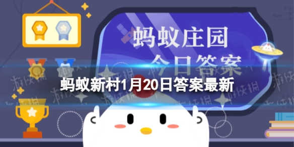 伴宠师是做什么的 蚂蚁新村节假日期间的热门职业伴宠师