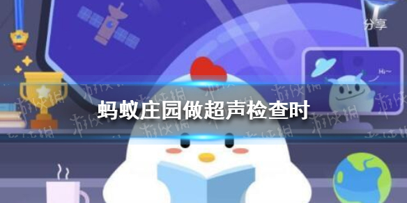 超声波检查蚂蚁庄园 超声波粘粘的东西今日答案
