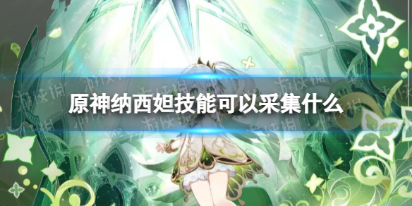 《原神》纳西妲技能可以采集什么 纳西妲可采集材料一览