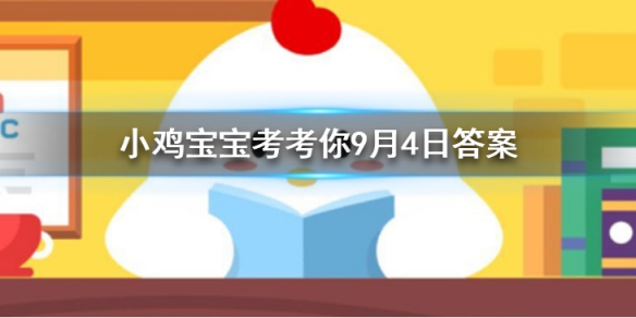 小鸡宝宝考考你小鸡天使装扮怎么获得