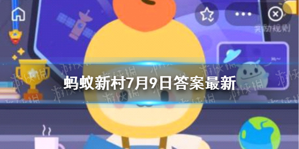 神仙豆腐蚂蚁新村 蚂蚁新村神仙豆腐得名