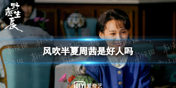 风吹半夏周茜是好人吗 风吹半夏周茜介绍