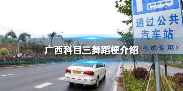 广西科目三什么梗 广西科目三舞蹈是什么意思